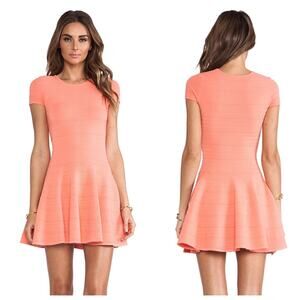 Torn by Ronny Kobo Viviene Coral Fit & Flare Dress XS